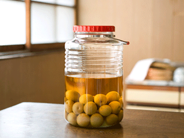 梅酒づくりのコツ 梅びん50周年 Aderia Glass 石塚硝子株式会社 梅酒びん 果実酒びん 梅酒づくりのコツ 梅びん50周年 Aderia Glass 石塚硝子株式会社 梅酒びん 果実酒びん